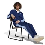 adidas Sportswear Basic Tricot Colorblock TS Erkek Eşofman Takımı