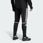 adidas Squadra 25 Training Erkek Eşofman Altı