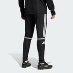 adidas Squadra 25 Training Erkek Eşofman Altı
