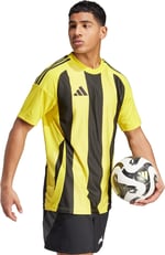 adidas Striped 24 Jsy Erkek Futbol Forması IW2146 Sarı