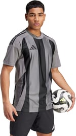adidas Striped 24 Jsy Erkek Futbol Forması IW2145 Gri