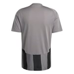 adidas Striped 24 Jsy Erkek Futbol Forması IW2145 Gri