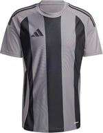 adidas Striped 24 Jsy Erkek Futbol Forması IW2145 Gri
