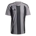 adidas Striped 24 Jsy Erkek Futbol Forması IW2145 Gri