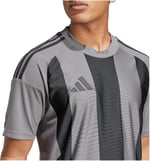 adidas Striped 24 Jsy Erkek Futbol Forması IW2145 Gri