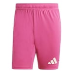 adidas T24 P Gk Sho Erkek Futbol Kaleci Şortu IS5338 Pembe
