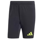 adidas T24 P Gk Sho Erkek Futbol Şortu IN0447 Siyah