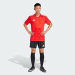 adidas Team Icon 25 Erkek Forma