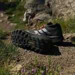 adidas Terrex Agravic Gore Tex Trail Erkek Koşu Ayakkabısı
