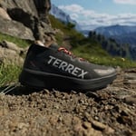 adidas Terrex Agravic Gore Tex Trail Erkek Koşu Ayakkabısı