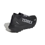 adidas Terrex Agravic Gore Tex Trail Kadın Koşu Ayakkabısı