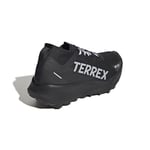 adidas Terrex Agravic Gore Tex Trail Kadın Koşu Ayakkabısı