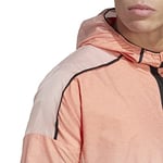adidas Terrex Agravic Windweave Trail Erkek Rüzgarlık