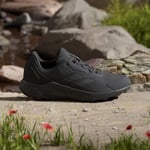 adidas TERREX ANYLANDER Ayakkabı Düşük Taban (Futbol Dışı) Erkek