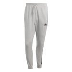 adidas Terrex Multi Liteflex Erkek Eşofman Altı