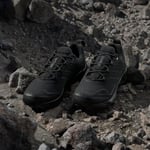 adidas Terrex Skychaser AX5 GORE-TEX Yürüyüş Ayakkabısı, 347725