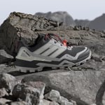 adidas Terrex Skychaser Gore-Tex Kadın Outdoor Ayakkabı Siyah 40.5
