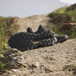 adidas Terrex Trailmaker 2.0 Erkek Outdoor Ayakkabı