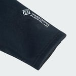 adidas Terrex Xperior Gore Tex Windstopper Eldiven