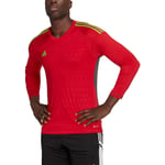 adidas Tiro 23 Competition Long Sleeve Goalkeeper Jersey Jarse (uzun kol) Erkek