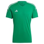 adidas Tiro 23 Jsy Jarse (kısa kol) Erkek