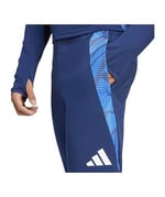adidas Tiro 24 Competition Training Erkek Eşofman Altı