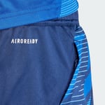 adidas Tiro 24 Competition Training Erkek Şort
