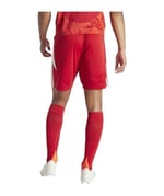 Adidas Tiro24 Sho Erkek Şort