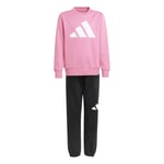 adidas Üniseks Çocuk Essentials Polar Eşofman Takımı
