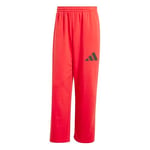 Adidas Wide Pant Ft Erkek Eşofman Altı