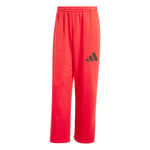 Adidas Wide Pant Ft Erkek Eşofman Altı