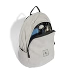 adidas Wntr Bp Sırt Çantası IM5524 Gri