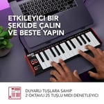 Akai Professional LPK25 - USB MIDI Klavye Controller Mac ve PC için Arpejatör ve Müzik Prodüksiyonu Yazılımı ve 25 Duyarlı Synth Tuşu