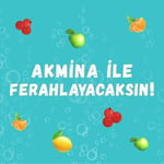 Akmina Limon Aromalı 200ml x 24