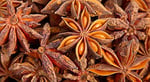 Aktar Diyarı Yıldız Anason 100 Gr, BHR-ADY30902