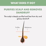 Alfaparf Milano Semi Di Lino Scalp Rebalance Gentle Exfoliating Scrub