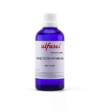 Alfasol Yaş Üzüm Aroması 10 Gr