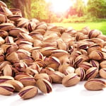 Alper Tunga Antep Fıstığı Kabuklu Ultra Kalite 500 gr