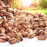Alper Tunga Antep Fıstığı Kabuklu Ultra Kalite 500 gr