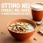Alpro Badem İçeceği 1000 ml