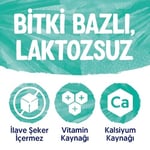 Alpro Hindistan Cevizi Bitki Bazlı İçecek 1 L