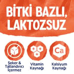 Alpro Şekersiz Yulaf Bitki Bazlı İçecek, 1 L 2li paket - Seçenekler: 1 adet, 1 adet 2li paket, 1L, 8 adet