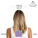 Alterna Caviar Multiplying Volume Saç Kremi 250 ml