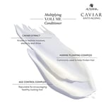Alterna Caviar Multiplying Volume Saç Kremi 250 ml