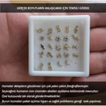 Altın Sepeti Yusufçuk Hızma