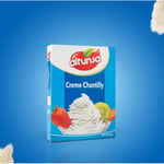 Altunsa Sade Krem Şanti 150 gr