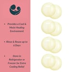 Ameda ComfortGel Pedleri Ebeveyn - Seçenekler: 2 Pair (Pack of 1), 1 Pair (Pack of 1)