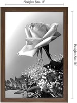 Americanflat Maun içinde 12x18 Poster Çerçevesi - Tasarlanmış Ahşap Çerçeve ve Cilalı Pleksiglas Kapaklı Fotoğraf Çerçevesi - Dahili Asma Donanımı ile Duvar için Yatay ve Dikey Formatlar