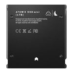 Angelbird Atom X SSDMINI 1 TB SSD sabit disk Atomos için, ATOMXMINI1000PK