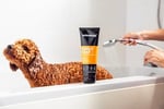 Animology Curly Coat Kıvırcık Tüylü Köpek Şampuanı 250 Ml